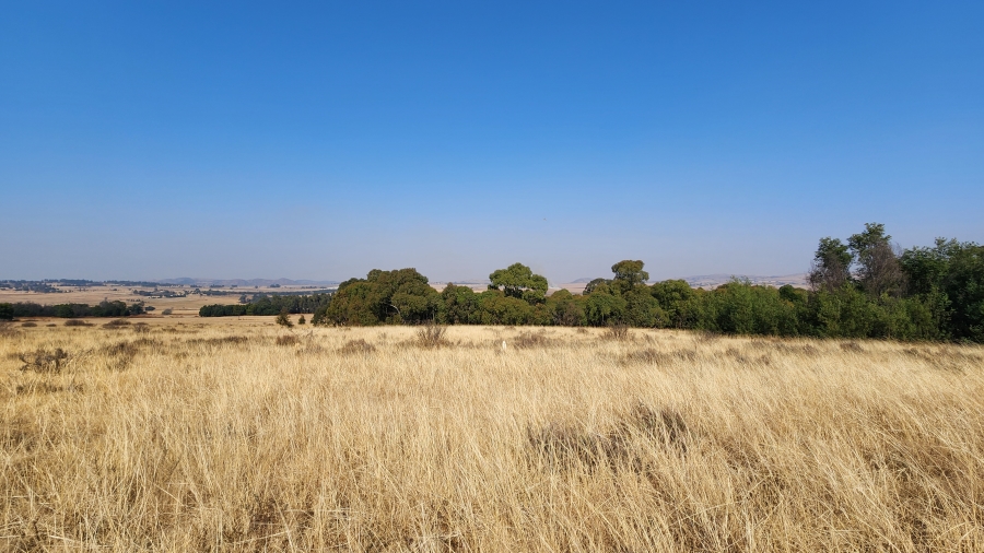 0 Bedroom Property for Sale in Bothaskraal AH Gauteng