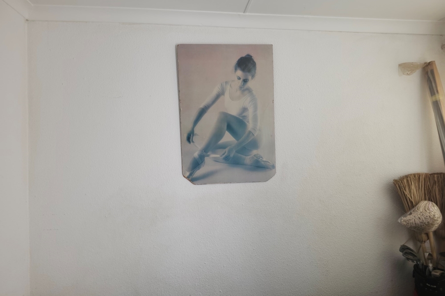 3 Bedroom Property for Sale in Riverlea Gauteng
