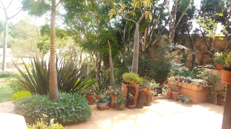To Let 3 Bedroom Property for Rent in Waterkloof Ridge Gauteng