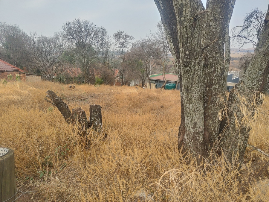 0 Bedroom Property for Sale in Vaaloewer Gauteng
