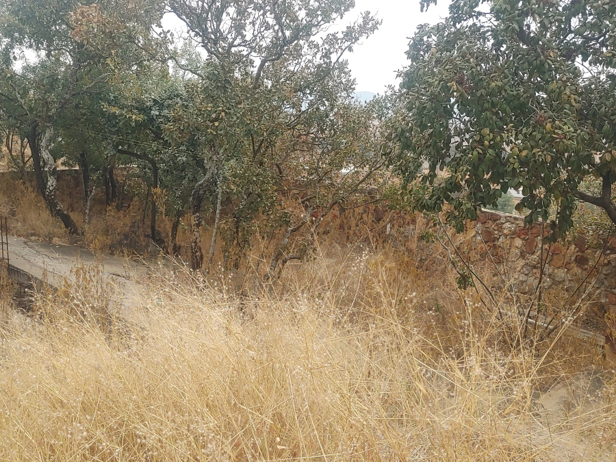 0 Bedroom Property for Sale in Vaaloewer Gauteng