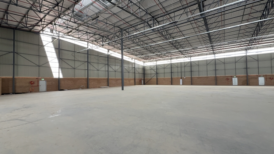 To Let commercial Property for Rent in Airport Park Gauteng