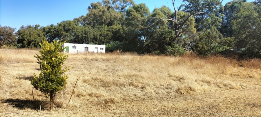 6 Bedroom Property for Sale in Bootha A H Gauteng