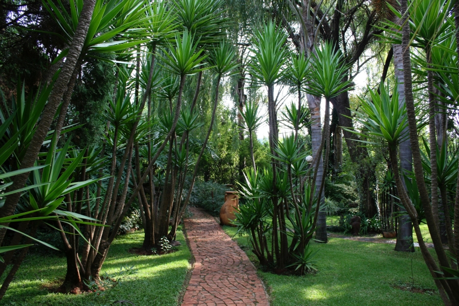4 Bedroom Property for Sale in Rietfontein SH Gauteng