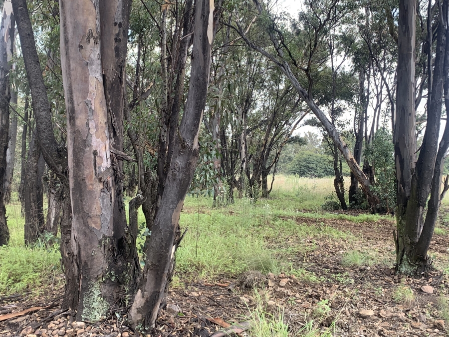 0 Bedroom Property for Sale in Walker Fruit Farms Gauteng