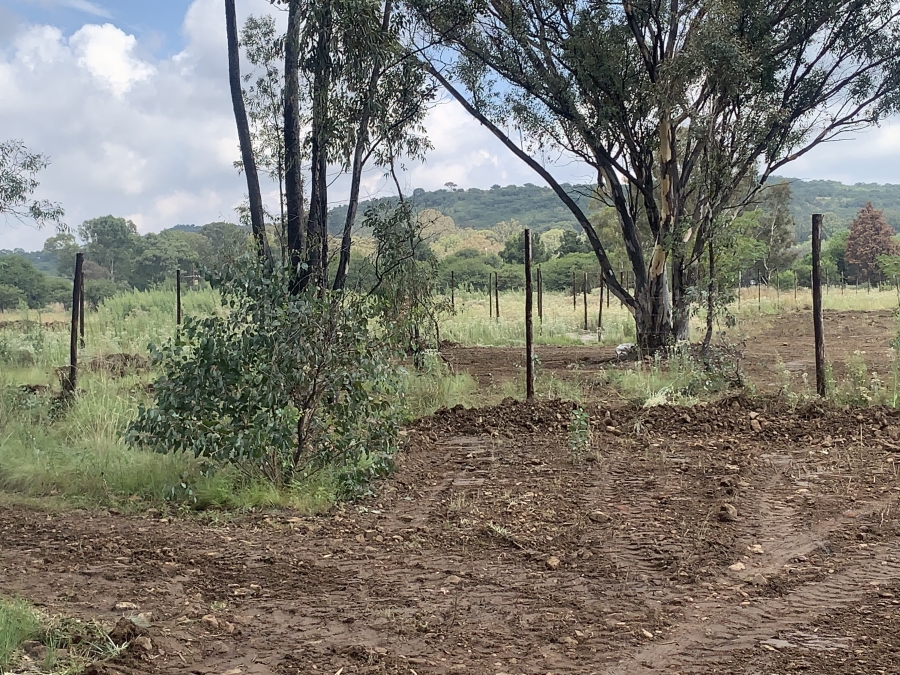 0 Bedroom Property for Sale in Walker Fruit Farms Gauteng
