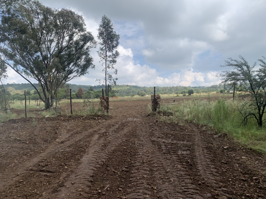 0 Bedroom Property for Sale in Walker Fruit Farms Gauteng