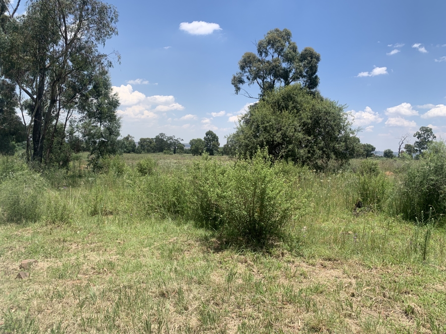 0 Bedroom Property for Sale in Walker Fruit Farms Gauteng