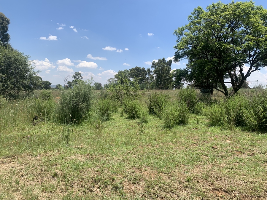 0 Bedroom Property for Sale in Walker Fruit Farms Gauteng