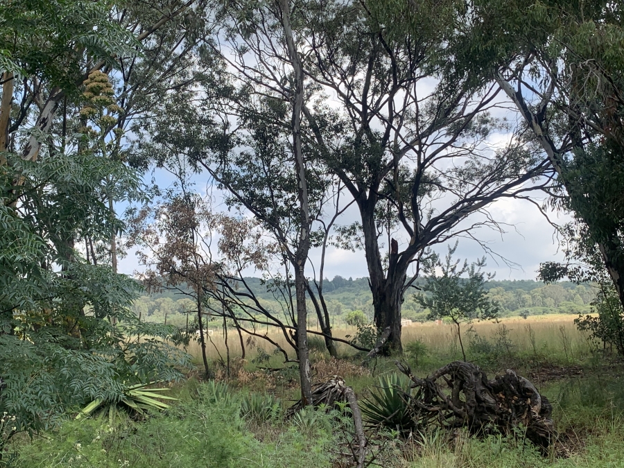 0 Bedroom Property for Sale in Walker Fruit Farms Gauteng