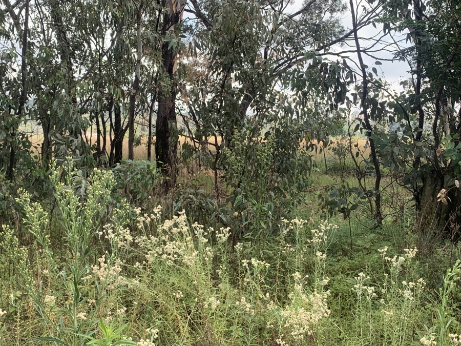 0 Bedroom Property for Sale in Walker Fruit Farms Gauteng