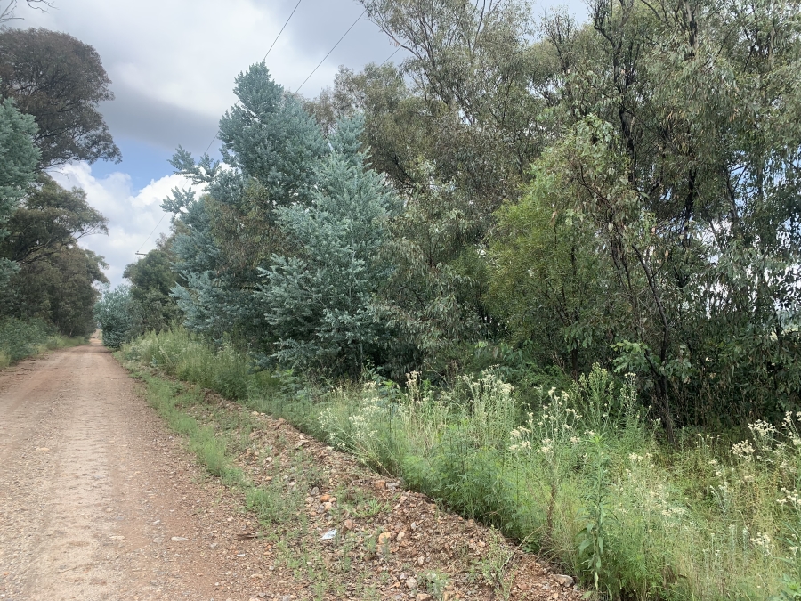 0 Bedroom Property for Sale in Walker Fruit Farms Gauteng