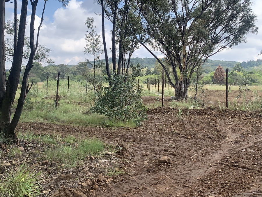 0 Bedroom Property for Sale in Walker Fruit Farms Gauteng