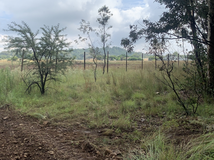 0 Bedroom Property for Sale in Walker Fruit Farms Gauteng