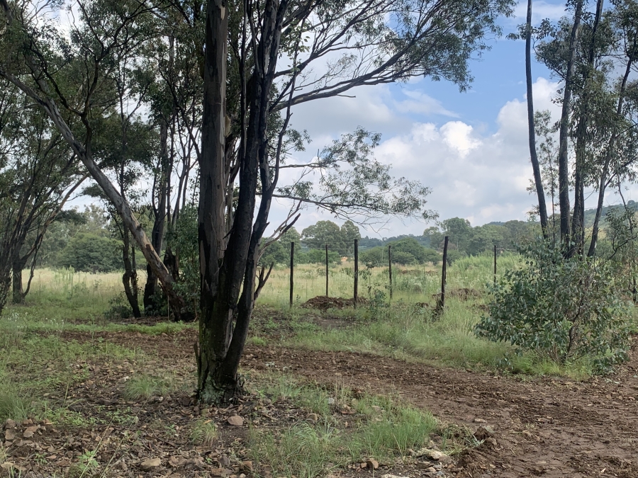 0 Bedroom Property for Sale in Walker Fruit Farms Gauteng
