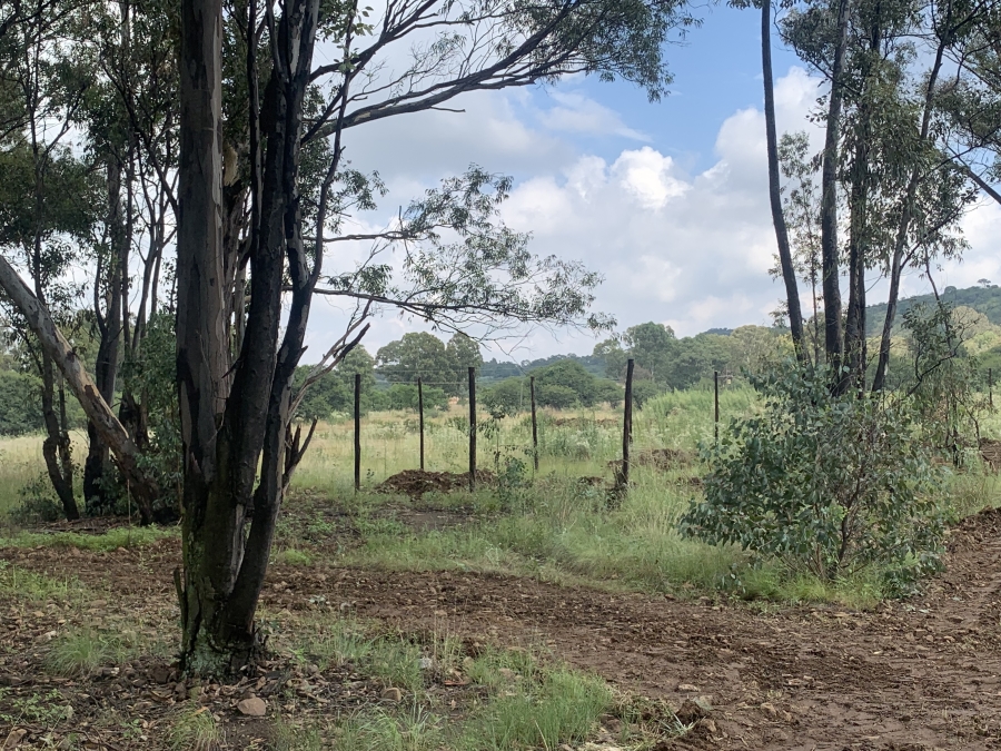 0 Bedroom Property for Sale in Walker Fruit Farms Gauteng