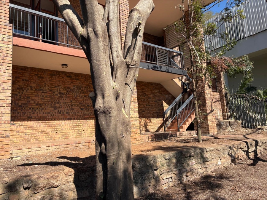 To Let 3 Bedroom Property for Rent in Rietondale Gauteng