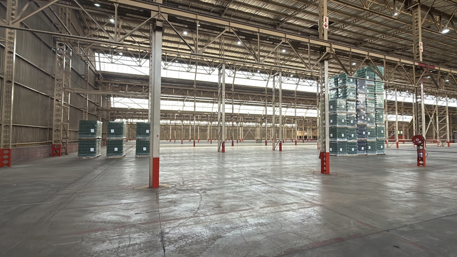 To Let commercial Property for Rent in Alrode Gauteng