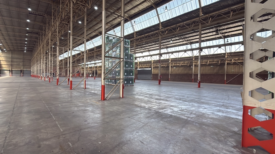 To Let commercial Property for Rent in Alrode Gauteng