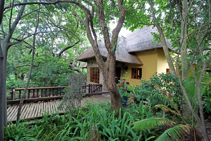 4 Bedroom Property for Sale in Sun Valley Gauteng