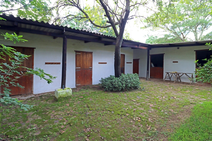 4 Bedroom Property for Sale in Sun Valley Gauteng