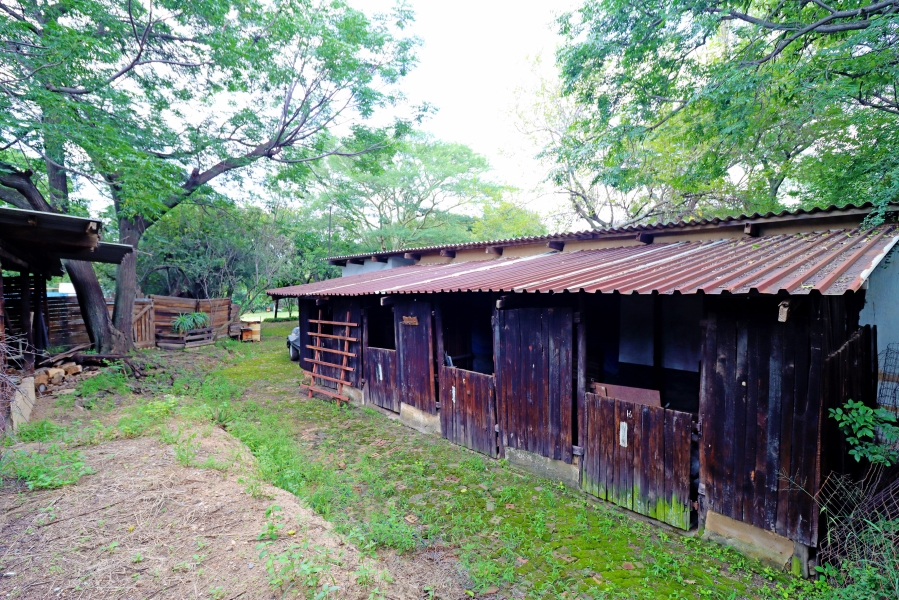 4 Bedroom Property for Sale in Sun Valley Gauteng