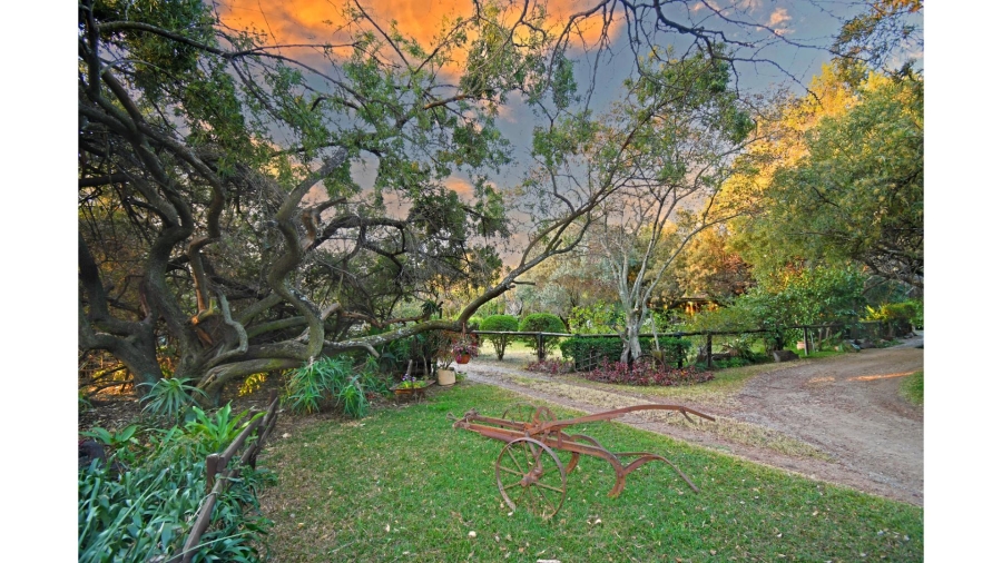 4 Bedroom Property for Sale in Sun Valley Gauteng