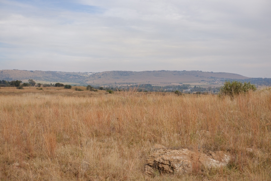 0 Bedroom Property for Sale in Letamo Game Farm Gauteng