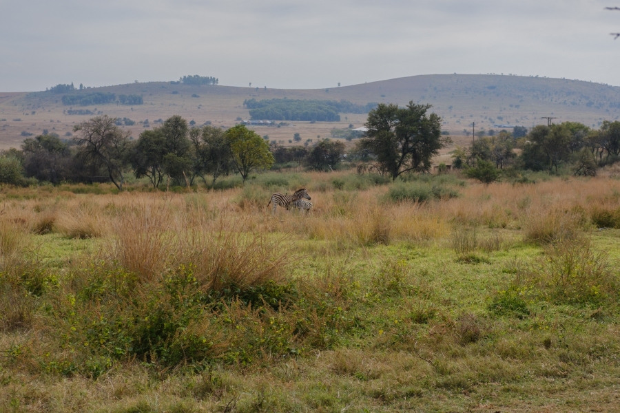 0 Bedroom Property for Sale in Letamo Game Farm Gauteng