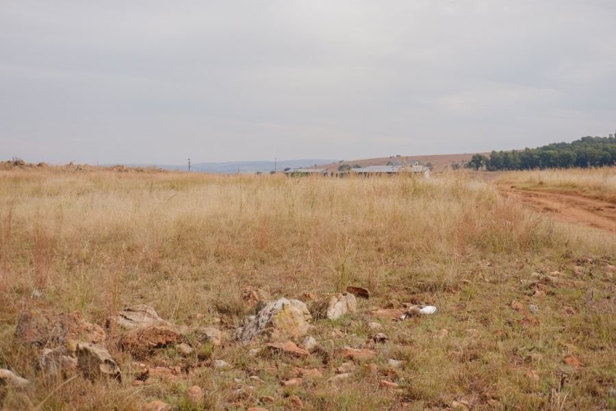 0 Bedroom Property for Sale in Letamo Game Farm Gauteng