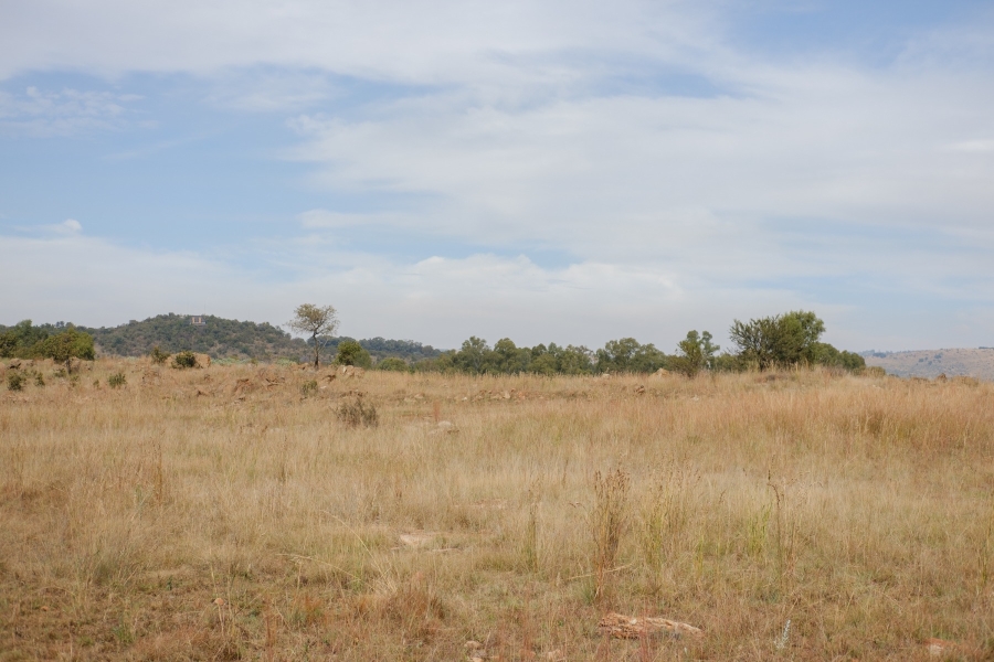 0 Bedroom Property for Sale in Letamo Game Farm Gauteng