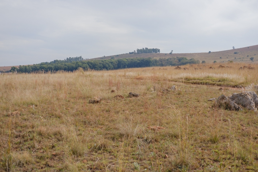 0 Bedroom Property for Sale in Letamo Game Farm Gauteng