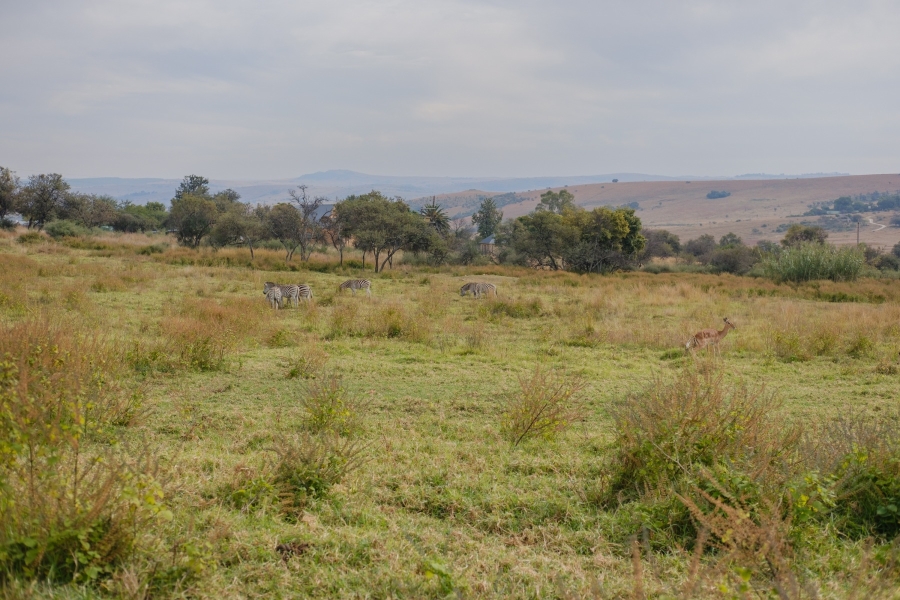 0 Bedroom Property for Sale in Letamo Game Farm Gauteng