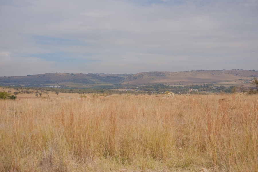 0 Bedroom Property for Sale in Letamo Game Farm Gauteng