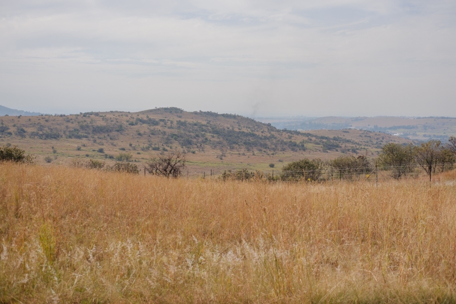 0 Bedroom Property for Sale in Letamo Game Farm Gauteng