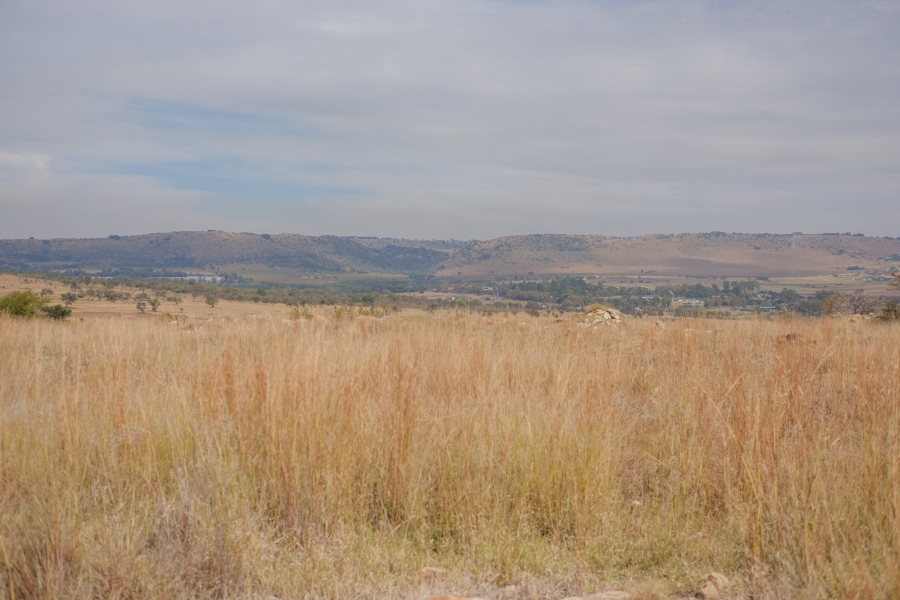 0 Bedroom Property for Sale in Letamo Game Farm Gauteng