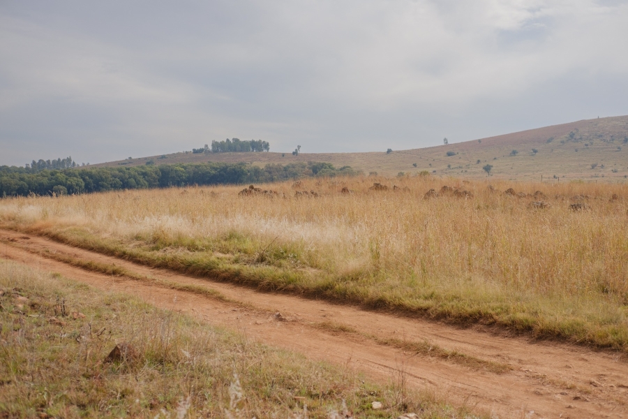 0 Bedroom Property for Sale in Letamo Game Farm Gauteng