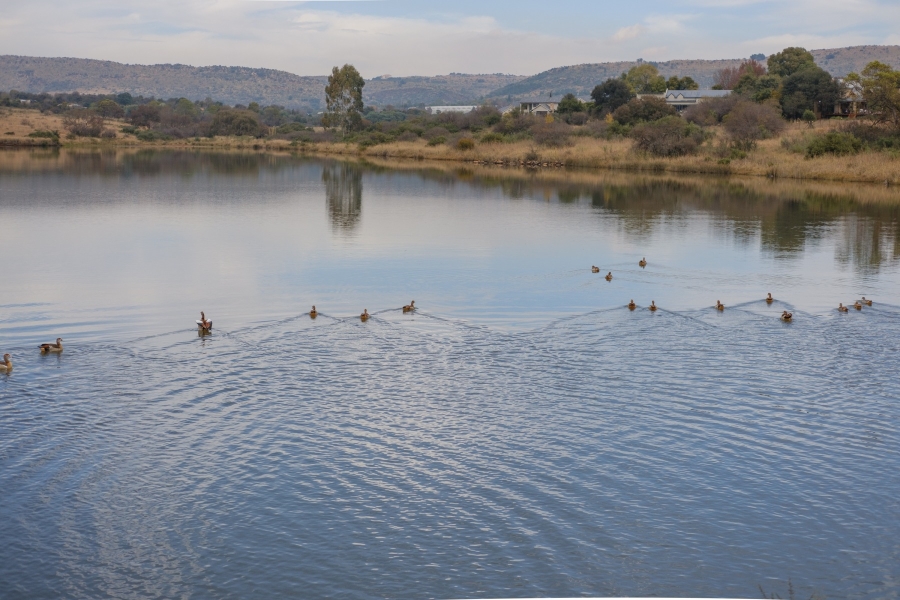 0 Bedroom Property for Sale in Letamo Game Farm Gauteng