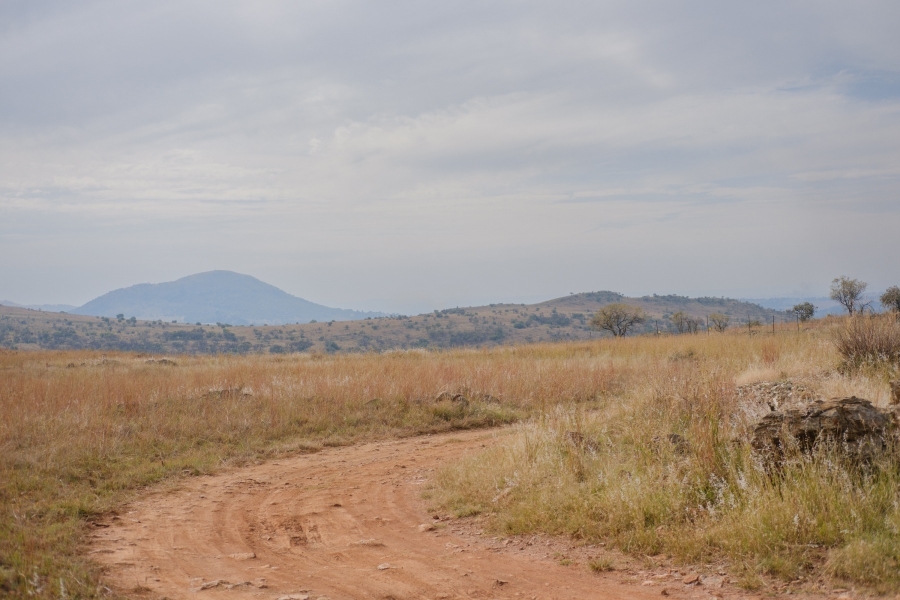 0 Bedroom Property for Sale in Letamo Game Farm Gauteng