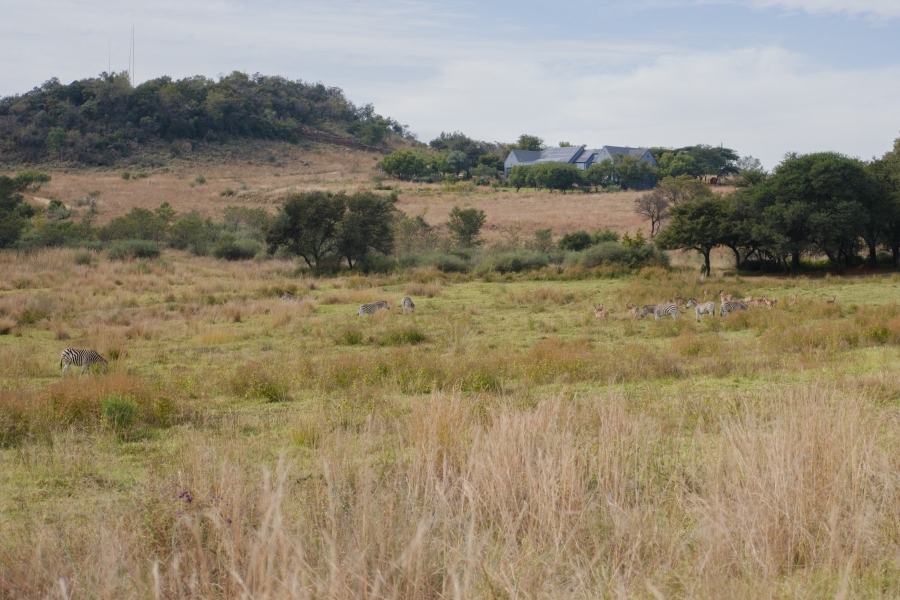 0 Bedroom Property for Sale in Letamo Game Farm Gauteng