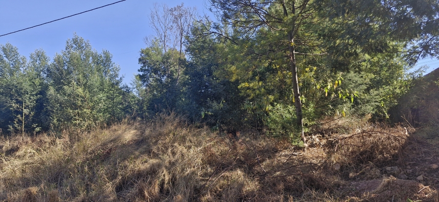 0 Bedroom Property for Sale in Grootfontein Ah Gauteng