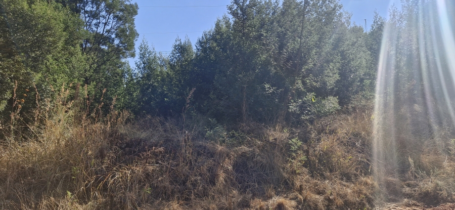 0 Bedroom Property for Sale in Grootfontein Ah Gauteng