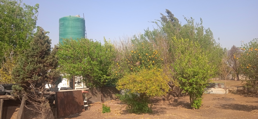 Commercial Property for Sale in Homestead Apple Orchards Gauteng