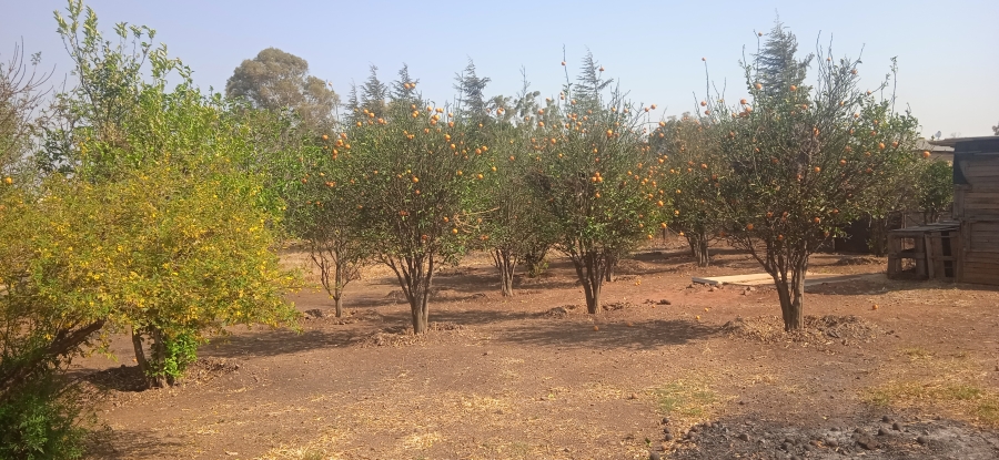 Commercial Property for Sale in Homestead Apple Orchards Gauteng