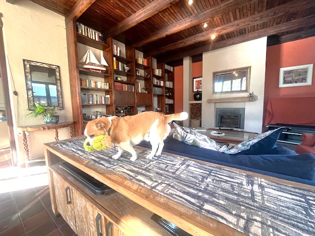 4 Bedroom Property for Sale in Brooklyn Gauteng
