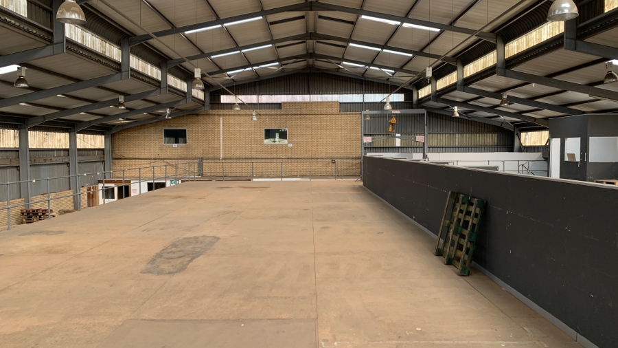 To Let commercial Property for Rent in Meadowdale Gauteng