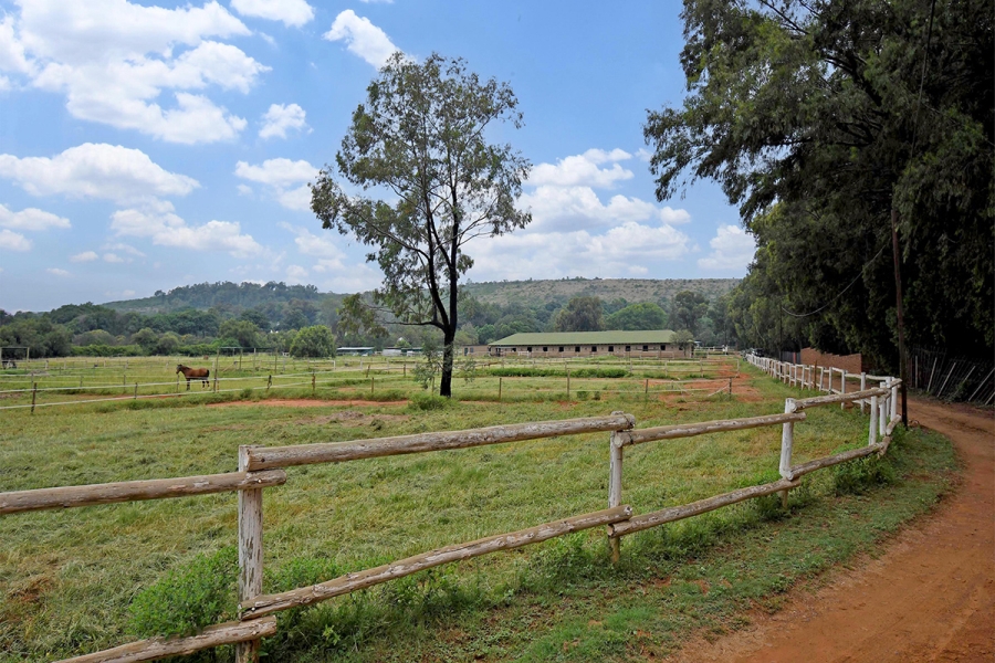 6 Bedroom Property for Sale in Strydfontein A H Gauteng
