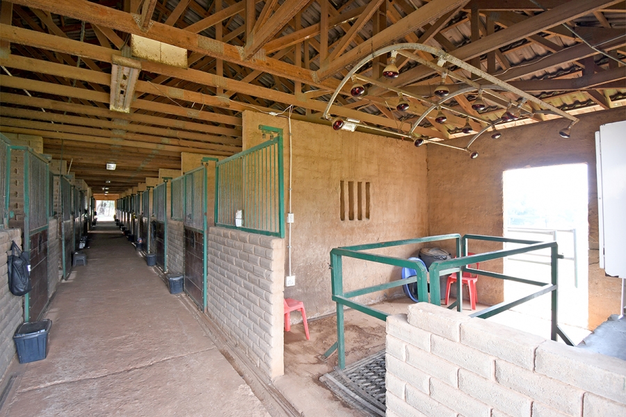 6 Bedroom Property for Sale in Strydfontein A H Gauteng