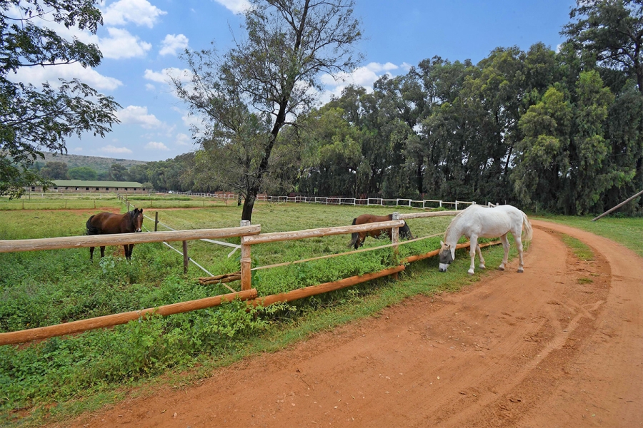 6 Bedroom Property for Sale in Strydfontein A H Gauteng