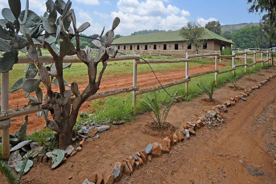 6 Bedroom Property for Sale in Strydfontein A H Gauteng